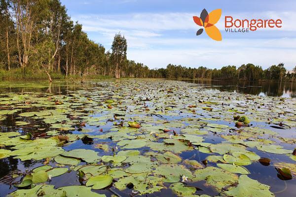 Local waterways on Bribie Island & Ningi